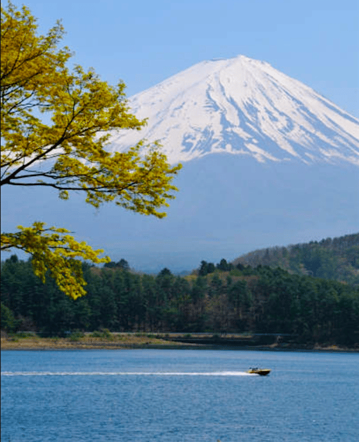 From Tokyo: Mount Fuji Full Day Customizable Private Tour - Lake Yamanaka and Gotemba shopping