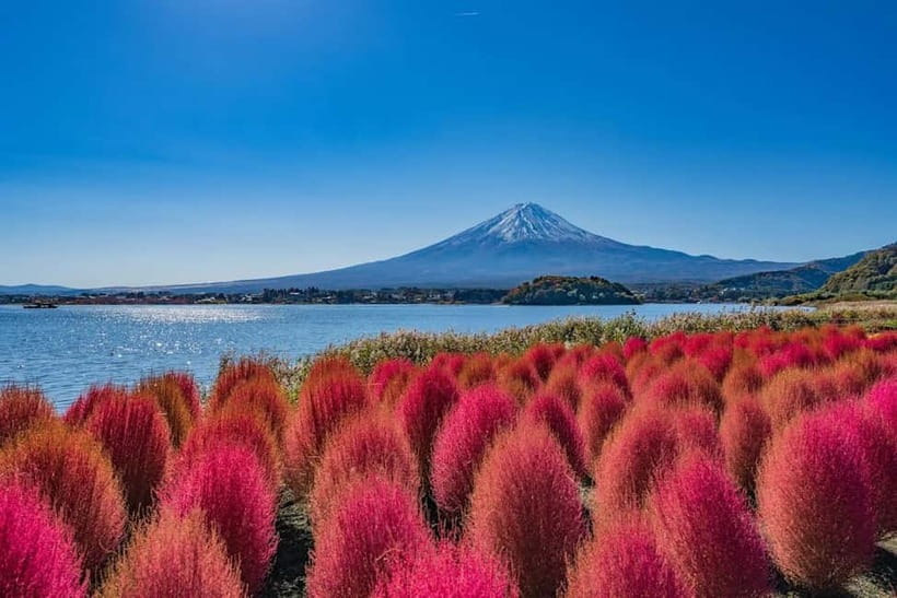 From Tokyo: Mount Fuji Full Day Private Customizable Tour - Key points at a glance