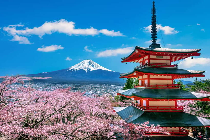 From Tokyo: Mount Fuji Full Day Private Customizable Tour - Why a private Fuji day can work better than a fixed route