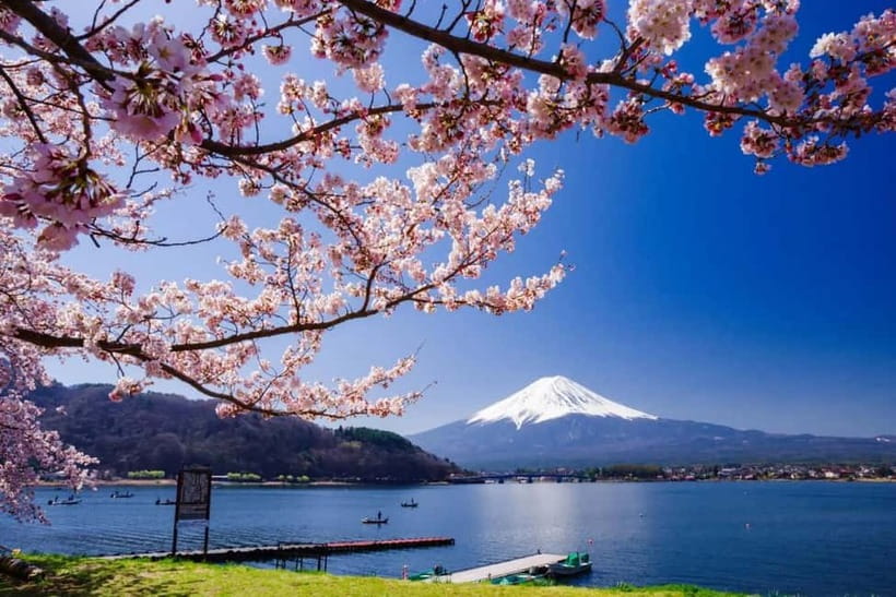 From Tokyo: Mount Fuji Full Day Private Customizable Tour - Oshino Hakkai and the old village feel