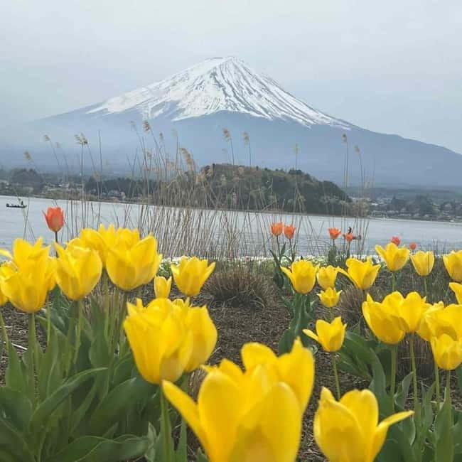 From Tokyo: Mount Fuji Full-Day Private Tour (Customizable) - Oshino Hakkai: springs, houses, and local snacks