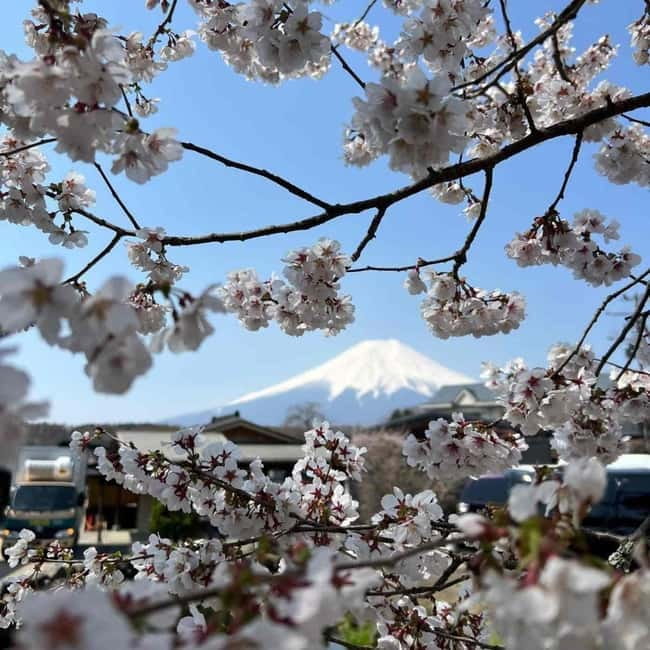 From Tokyo: Mount Fuji Full-Day Private Tour (Customizable) - The 5th or 6th Station, when conditions allow