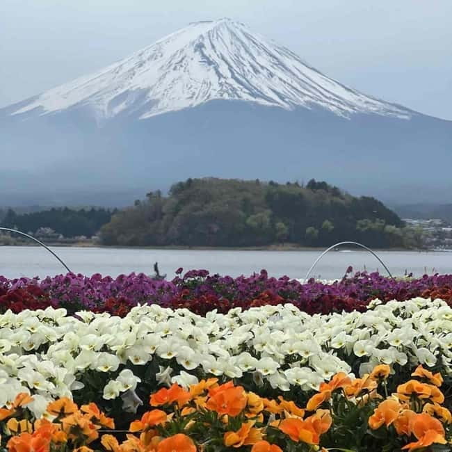 From Tokyo: Mount Fuji Full-Day Private Tour (Customizable) - How the itinerary can change during the day