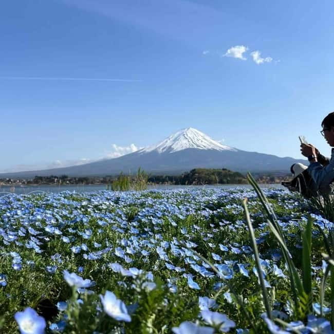 From Tokyo: Mount Fuji Full-Day Private Tour (Customizable) - What the drivers do well