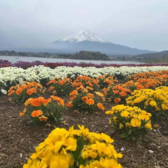From Tokyo: Mount Fuji Full-Day Private Tour (Customizable) - Price, comfort, and what is extra