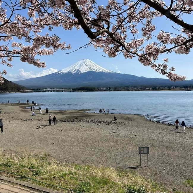 From Tokyo: Mount Fuji Full-Day Private Tour (Customizable)