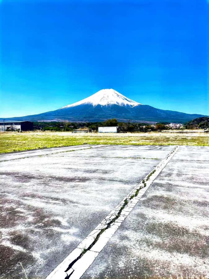 From Tokyo: Mount Fuji Full Day Private Tour English Guide - Key points to know before you book