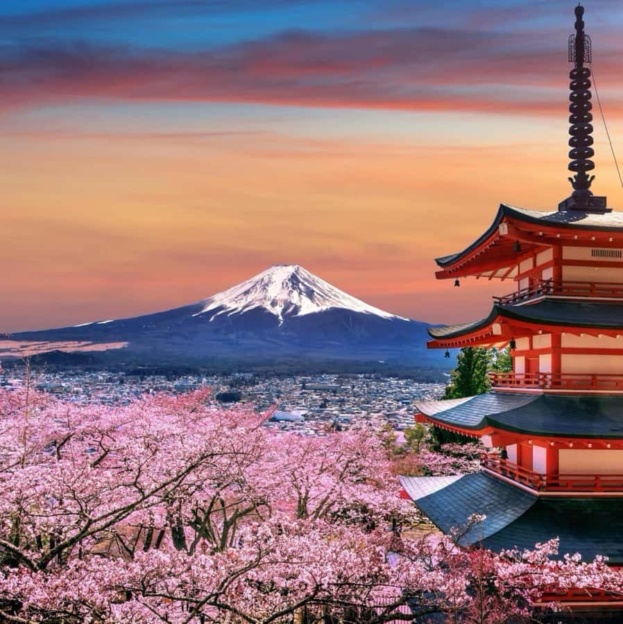 From Tokyo: Mount Fuji Full Day Private Tour English Guide - Shrines and smaller stops give the day more depth