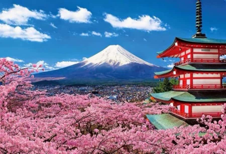 From Tokyo: Mount Fuji Full Day Private Tour English Guide - Who will get the most from this tour