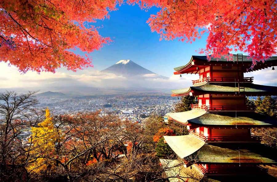 From Tokyo: Mount Fuji Full Day Private Tour English Guide