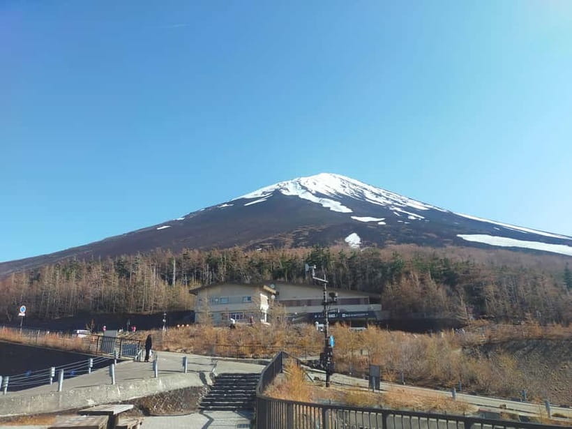 From Tokyo: Mount Fuji Full-Day Sightseeing Trip - Arakurayama Sengen Park and Chureito Pagoda