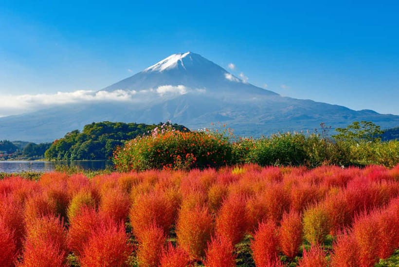 From Tokyo: Mount Fuji Full-Day Sightseeing Trip - Starting in Tokyo: allow extra time to find the bus