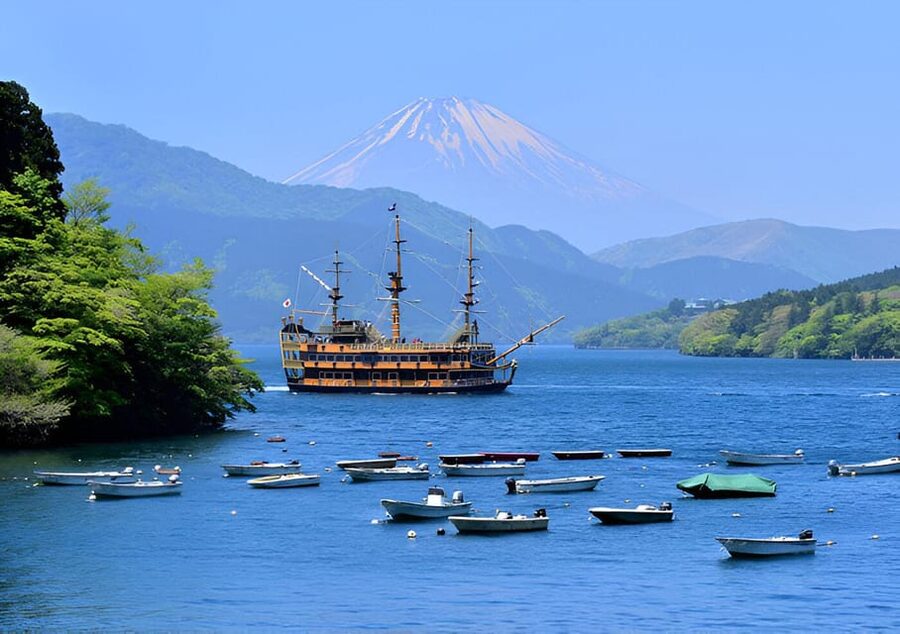 From Tokyo: Mount Fuji & Hakone Full Day Private Tour - Why a private Fuji and Hakone day works well