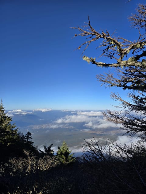 From Tokyo: Mount Fuji & Hakone Full Day Private Tour - Owakudani Valley and the volcanic Hakone route