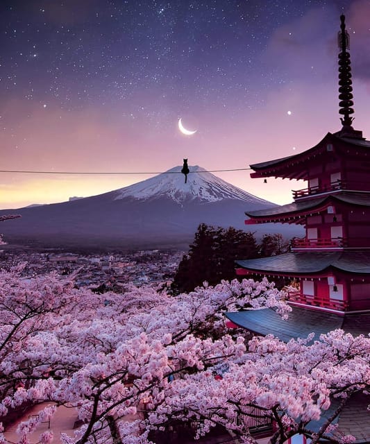 From Tokyo: Mount Fuji & Hakone Full Day Private Tour - Lake Ashi and Hakone Shrine