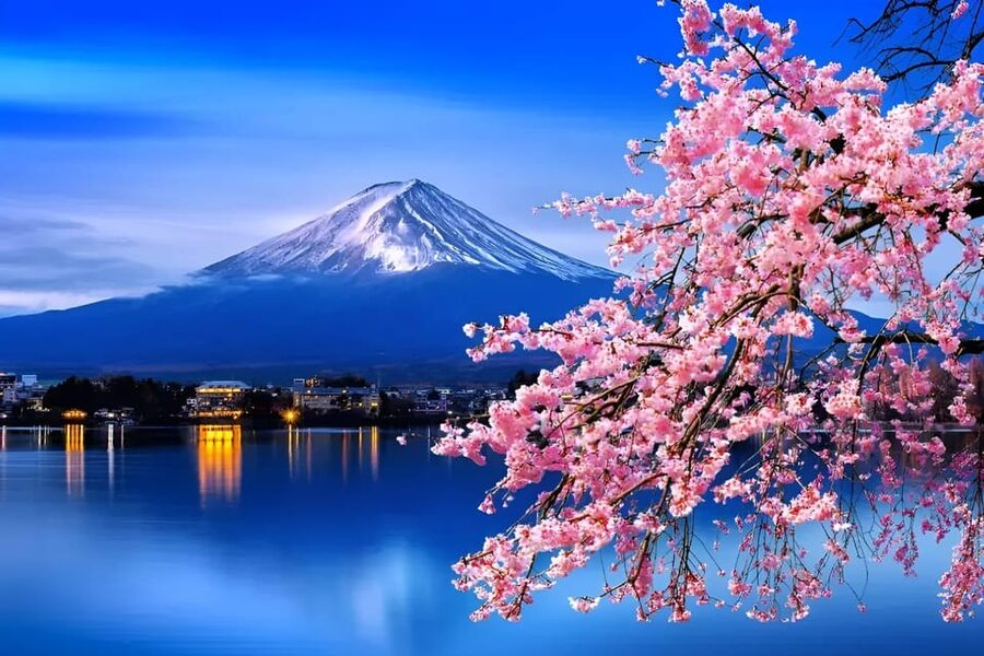 From Tokyo: Mount Fuji & Hakone Full Day Private Tour - Reaching the Fuji Subaru Line 5th Station