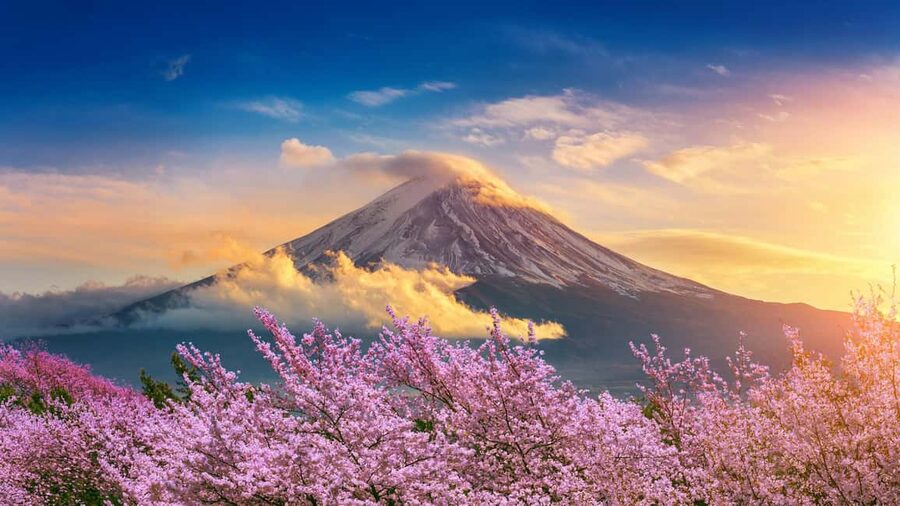 From Tokyo: Mount Fuji Highlights Private Tour - Rain plans when Fuji hides