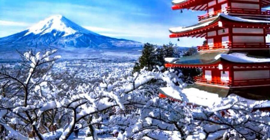 From Tokyo:Mount Fuji Private Customizable Tour With English - Shrines, pagodas, and Fuji’s spiritual side