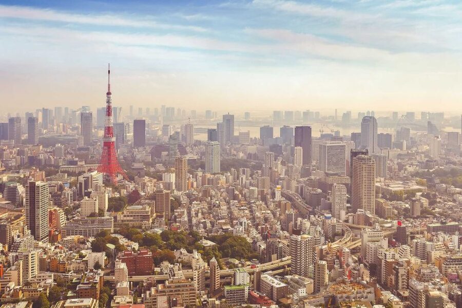 From Tokyo: Mount Fuji Private Day Tour - Key points to know before booking