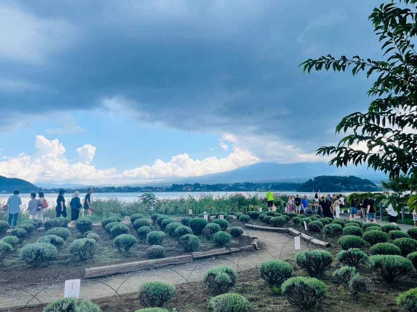 From Tokyo : Mount Fuji Private Day Tour with English Driver - Key points to know before booking