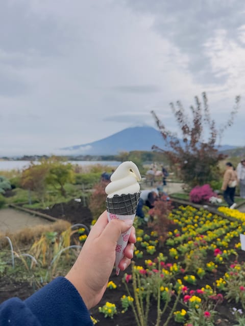From Tokyo : Mount Fuji Private Day Tour with English Driver - Chureito Pagoda and the classic Fuji photograph