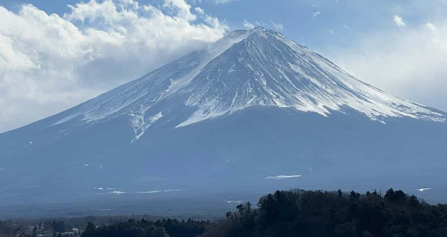 From Tokyo : Mount Fuji Private Day Tour with English Driver - Gotemba Premium Outlets with Mount Fuji in the background