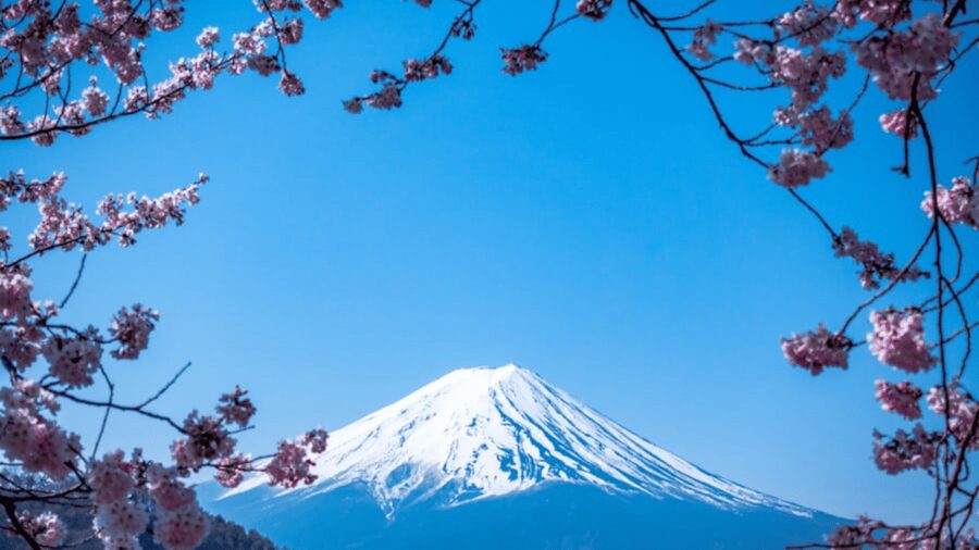 From Tokyo: Mount Fuji Private Day Tour With English Guide - Mount Fuji 5th Station and the price of altitude