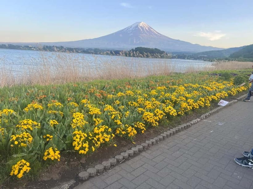 From Tokyo: Mount Fuji Private Tour with a Driver/Guide - Why this private Fuji day works well