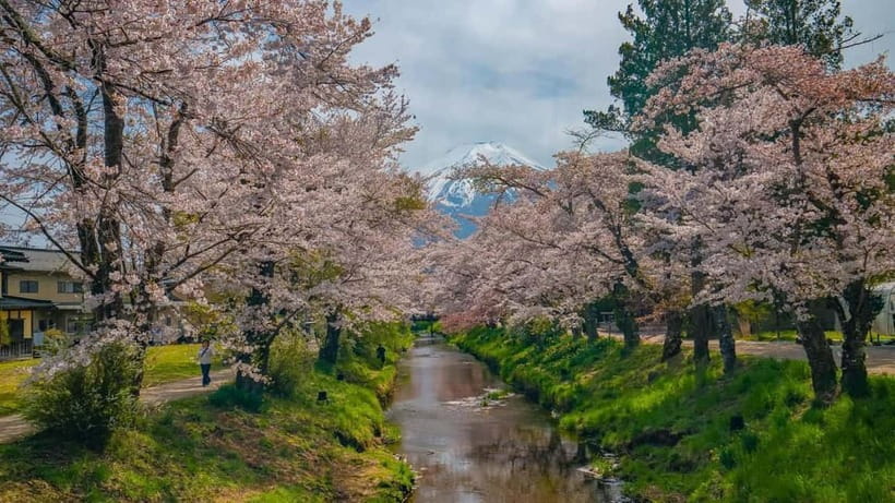 From Tokyo: Mount Fuji Private Tour with a Driver/Guide - Chureito Pagoda and the classic Fuji photograph