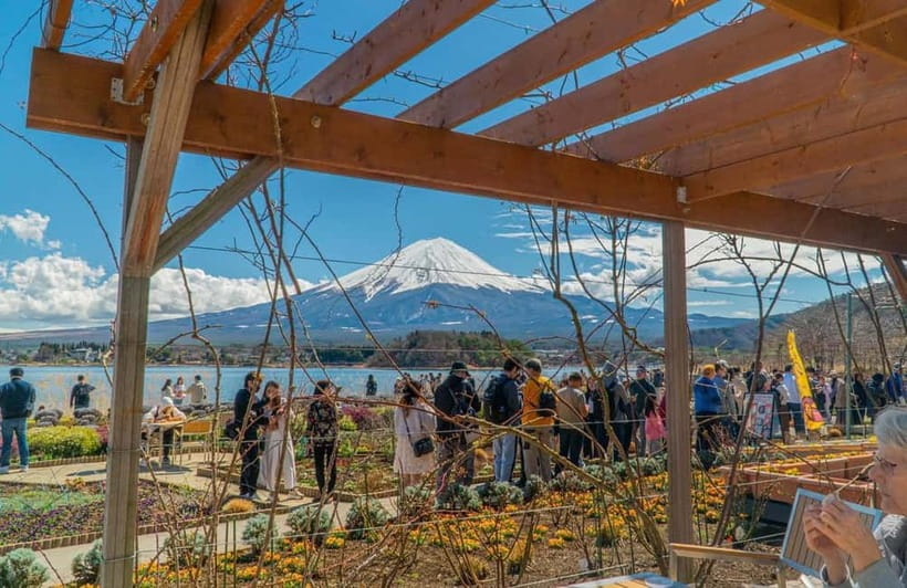 From Tokyo: Mount Fuji Private Tour with a Driver/Guide - Saiko Iyashi-no-Sato Nenba and old village views