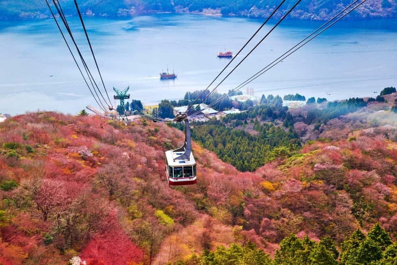 From Tokyo: Mount Fuji Private Tour With English Guide - Oshino Hakkai and Lake Yamanaka