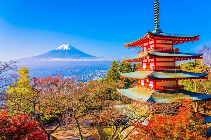 From Tokyo: Mount Fuji Private Tour With English Guide - Food, language, and comfort