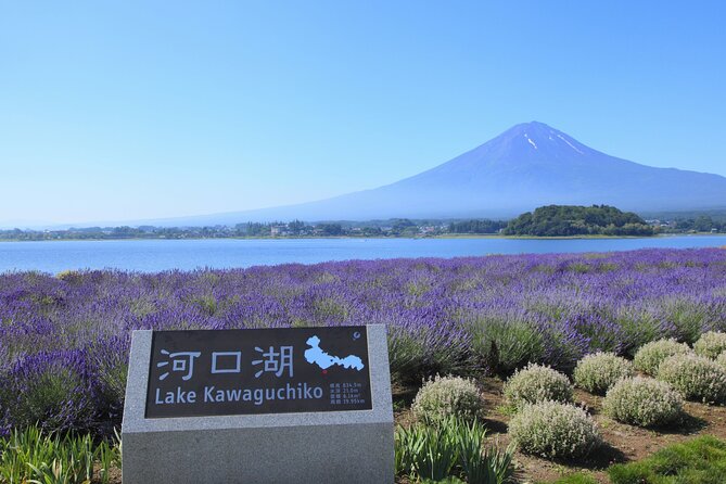 From Tokyo: Mount Fuji Sightseeing Full Day Trip - Why this Fuji day trip works from Tokyo