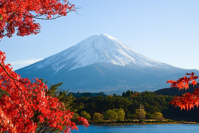 From Tokyo: Mount Fuji Sightseeing Full Day Trip