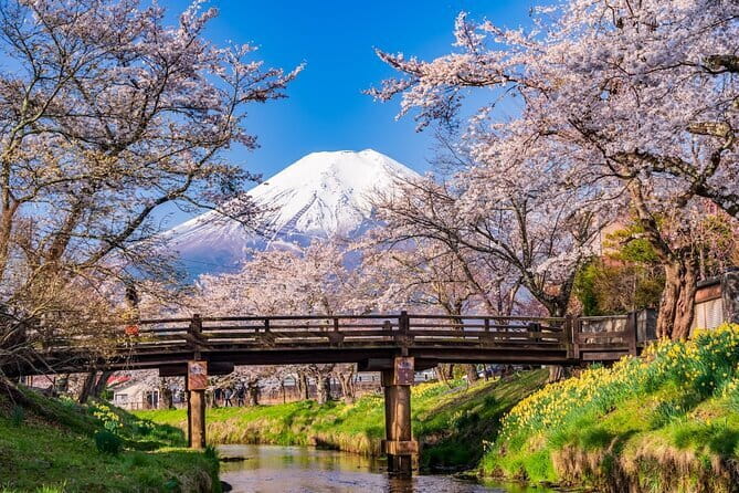 From Tokyo: Mount Fuji Sightseeing One Day Trip - Key points to know before booking