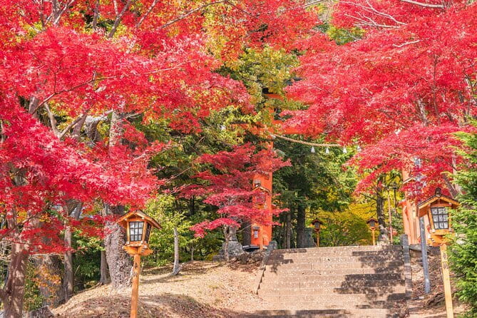 From Tokyo: Mount Fuji Sightseeing One Day Trip - Arakura Fuji Sengen Shrine adds a quieter cultural stop