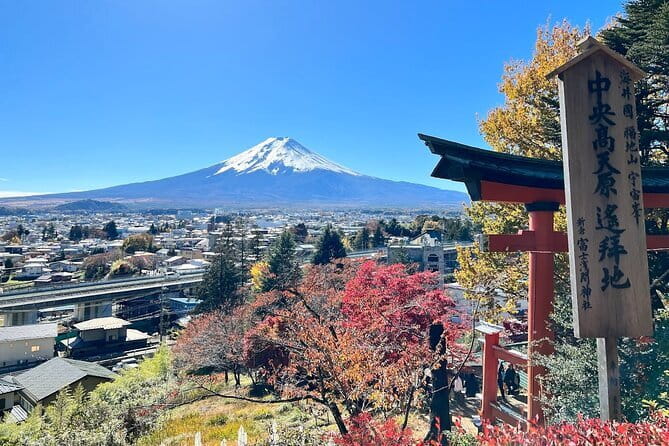 From Tokyo: Mount Fuji Sightseeing One Day Trip - Hikawa Clock Shop is a street scene, not a major attraction