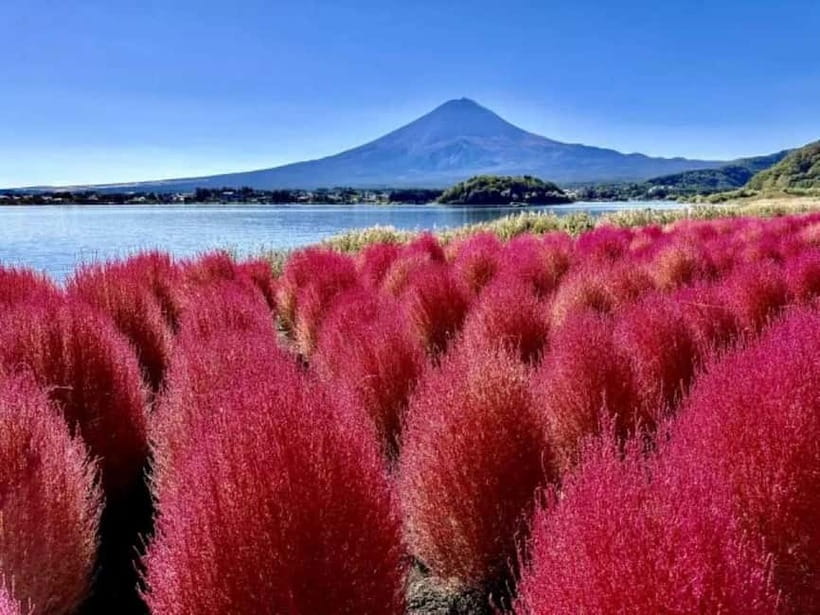 From Tokyo: Mt. Fuji 5th station and Oshino Hakkai Day Trip - Yamanashi lunch included in the $103 price