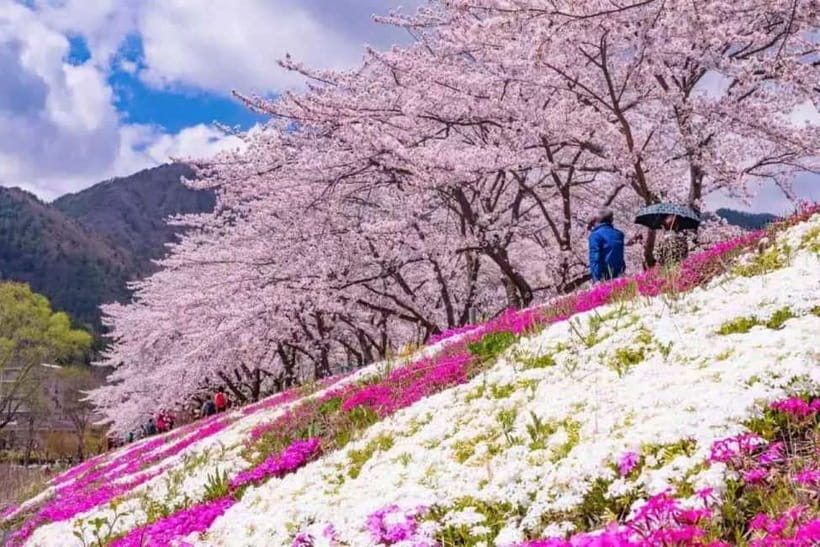 From Tokyo: Mt. Fuji 5th station and Oshino Hakkai Day Trip - Guides, group pace, and personal help