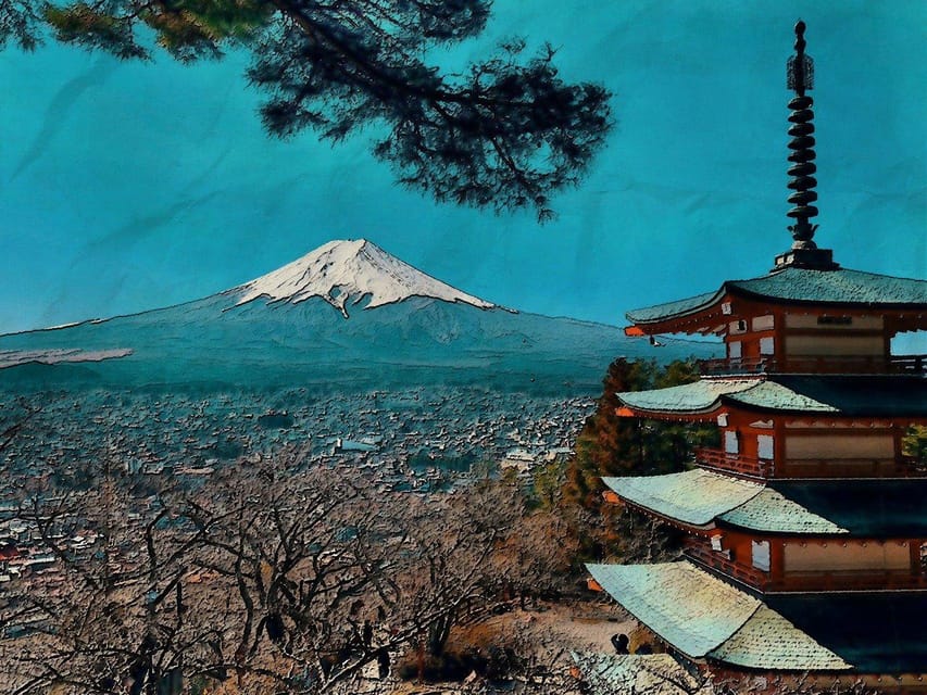 From Tokyo: Mt. Fuji And Hakone Private Sightseeing Day Trip - Key points to know before booking