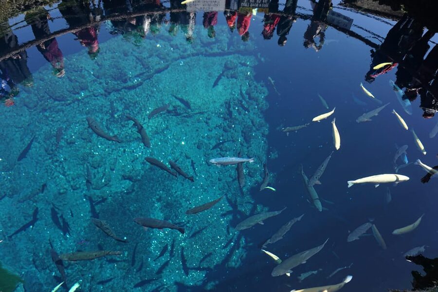 From Tokyo: Mt. Fuji And Hakone Private Sightseeing Day Trip - Hakone Ropeway and Lake Ashi