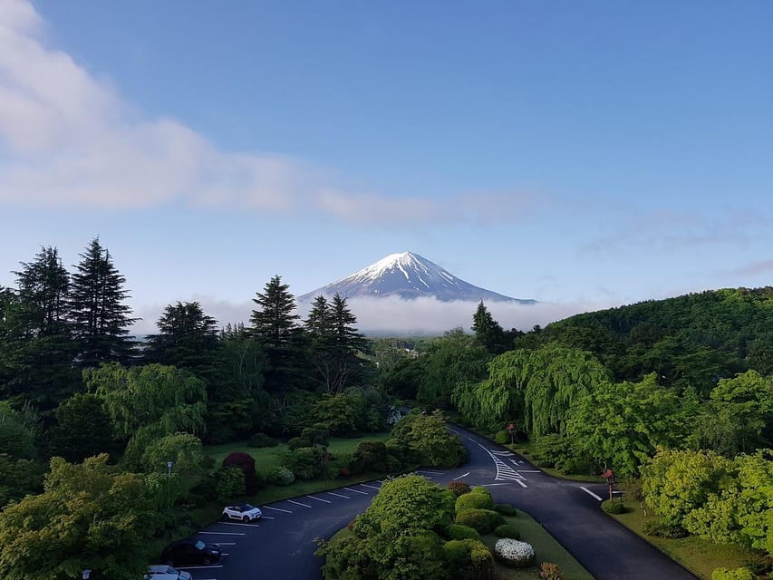 From Tokyo: Mt. Fuji And Hakone Private Sightseeing Day Trip - A private way to chase Mount Fuji