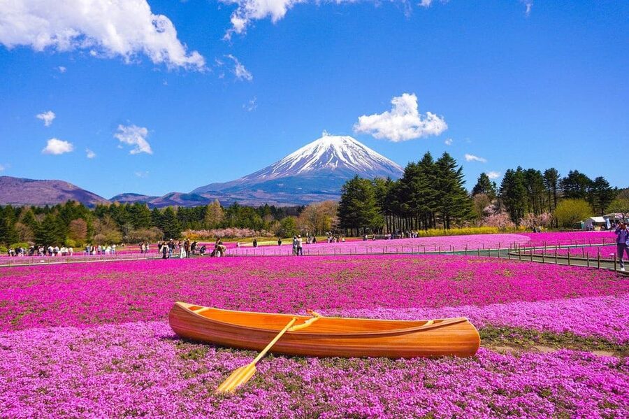 From Tokyo: Mt. Fuji And Hakone Private Sightseeing Day Trip - Kitaguchi Hongu Fuji Sengen Shrine