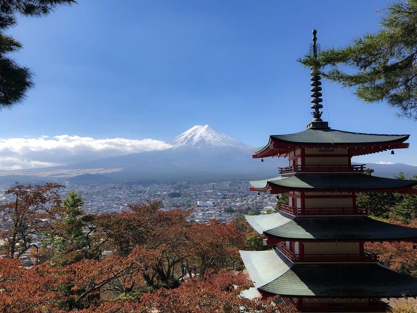 From Tokyo: Mt. Fuji And Hakone Private Sightseeing Day Trip - Oishi Park’s flowers and open Fuji views