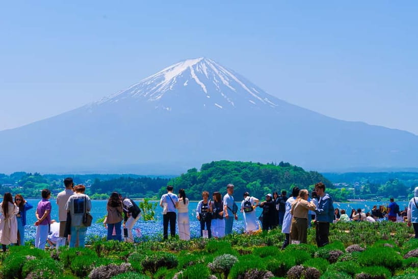 From Tokyo: Mt Fuji, Arakurayama and Kawaguchi Lake Day Trip - Oshino Hakkai and Fuji spring water