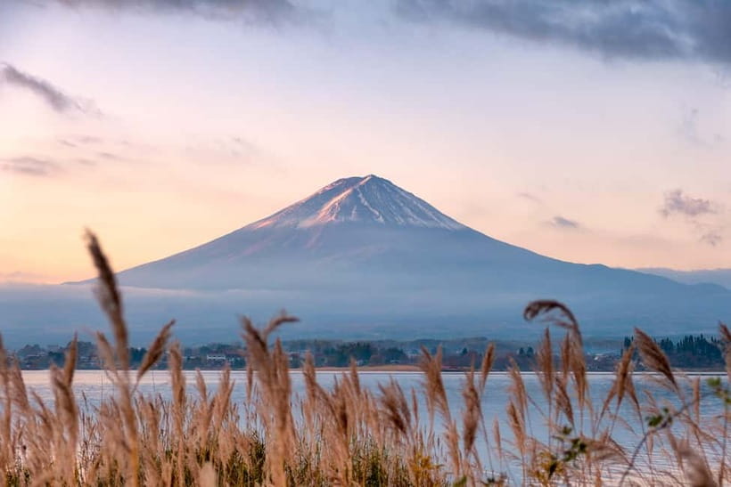 From Tokyo: Mt.Fuji & Gotemba Private Customizable Day Trip. - Key things to know before booking