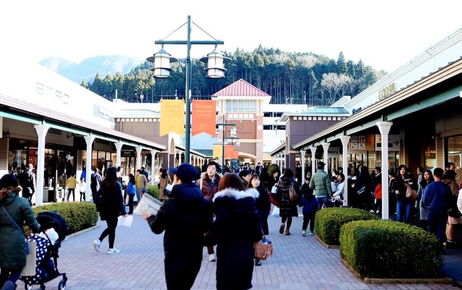 From Tokyo: Mt.Fuji & Gotemba Private Customizable Day Trip. - What the $483 price really buys