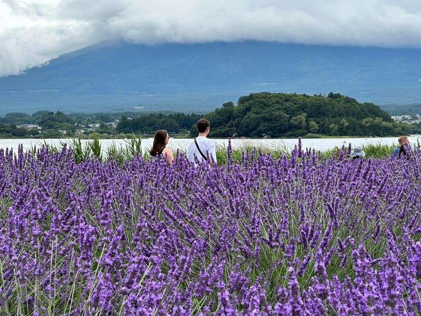 From Tokyo: Mt.Fuji & Gotemba Private Customizable Day Trip. - Who will get the most from this day trip