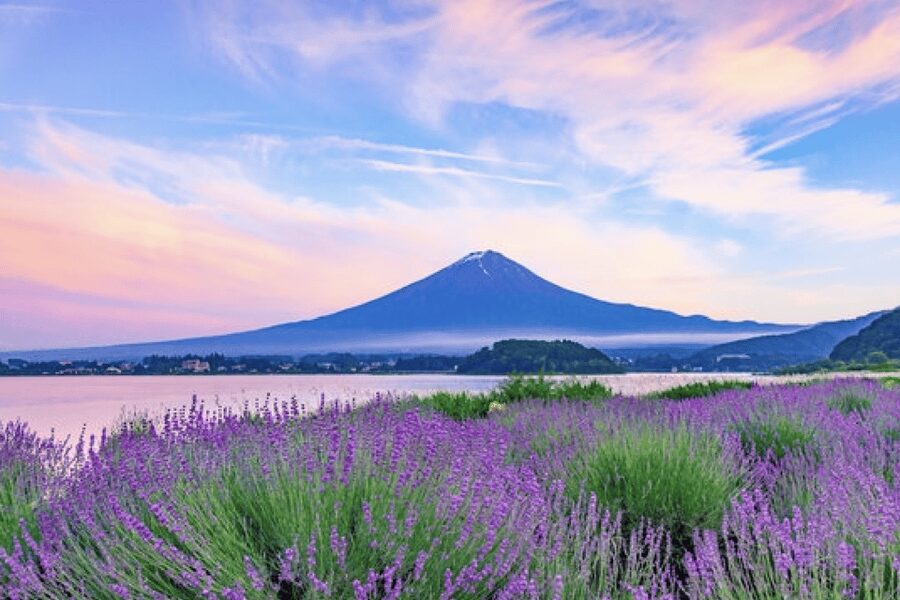 From Tokyo: Mt. Fuji, Hakone, Owakudani & Lake Ashi Bus Tour - Meeting at the LOVE statue in Shinjuku
