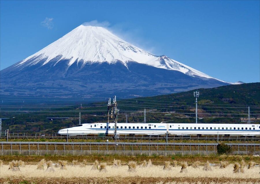 From Tokyo: Mt. Fuji & Hakone Tour w/ Return by Bullet Train - Returning to Tokyo by Shinkansen